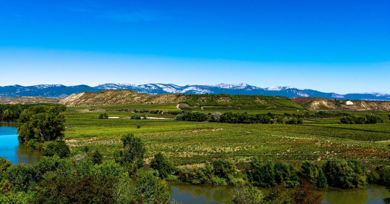 Apartamento Virgen Del Valle Cenicero Dış mekan fotoğraf