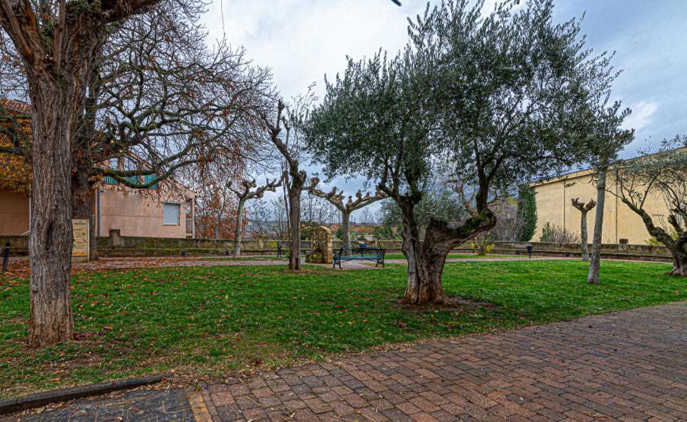 Apartamento Virgen Del Valle Cenicero Dış mekan fotoğraf